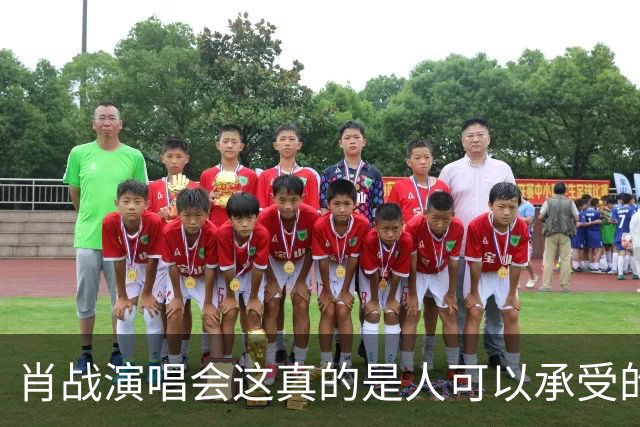 肖战演唱会这真的是人可以承受的吗？散场后还设心理疏导岗